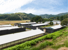 写真：養鶏場の外観