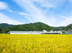 写真：種卵を運んでいる様子