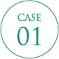 CASE01