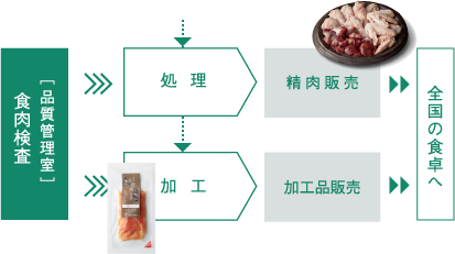 フロー図：食肉検査→処理・精肉販売、加工・加工品販売→全国の食卓へ