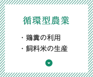 循環型農業：鶏糞の利用・飼料米の生産