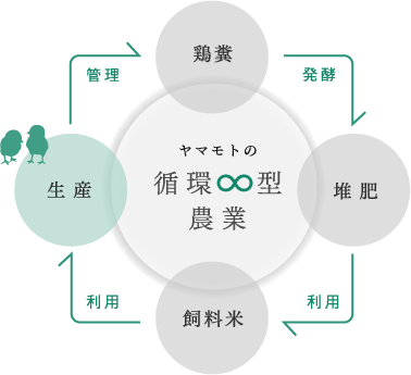 フロー図：ヤマモトの循環型農業について