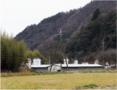 写真：鶏場