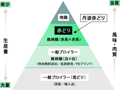 グラフ:国産・輸入品の一般ブロイラー(若どり)が生産量が一番多く、風味・肉質は一番劣る。次に、特別飼料添加/長期肥育/PBブランドの一般ブロイラー銘柄鶏(白×白)が多い。二番目に希少で良質なのが、銘柄鶏である「丹波赤どり」などの赤どり(赤系×赤系)。一番希少で良質なのが地鶏。