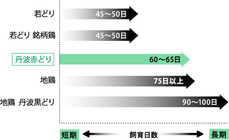 グラフ：各鶏の飼育日数