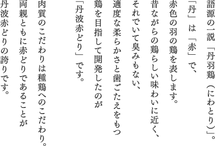 語源の一説「丹羽鶏（にわとり）」「丹」は「赤」で、赤色の羽の鶏を表します。昔ながらの鶏らしい味わいに近く、それでいて臭みもない、適度な柔らかさと歯ごたえをもつ鶏を目指して開発したのが「丹波赤どり」です。肉質のこだわりは種鶏へのこだわり。両親ともに赤どりであることが丹波赤どりの誇りです。