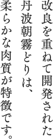 改良を重ねて開発された丹波朝霧どりは、柔らかな肉質が特徴です。