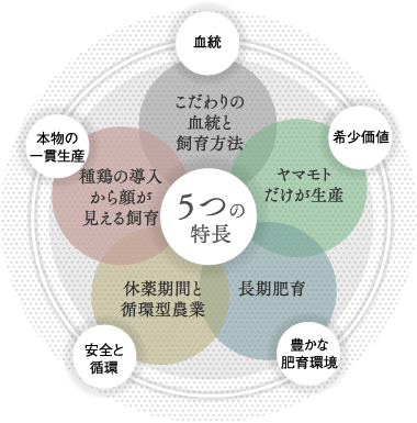 五つの特徴：1）こだわりの血統と飼育方法、2）ヤマモトだけが生産、3）長期肥育、4）休薬期間と循環型農業、5）種鶏の導入から顔が見える飼育