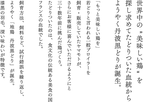 世界中の”美味しい鶏“を探し求めてたどりついた血統からようやく丹波黒どりが誕生。「もっと美味しい鶏を」若どりと言われる一般ブロイラーを飼育・販売していたヤマモトが、さらにお客様に喜んでいただけるようにと三十数年前に挑んだ鶏づくり。たどりついたのは、食文化の伝統ある美食の国フランスの血統でした。飼育方法、飼料など、試行錯誤を繰り返し、ようやく「地鶏  丹波黒どり」が誕生。漆黒の羽毛、深い味わいが特徴です。