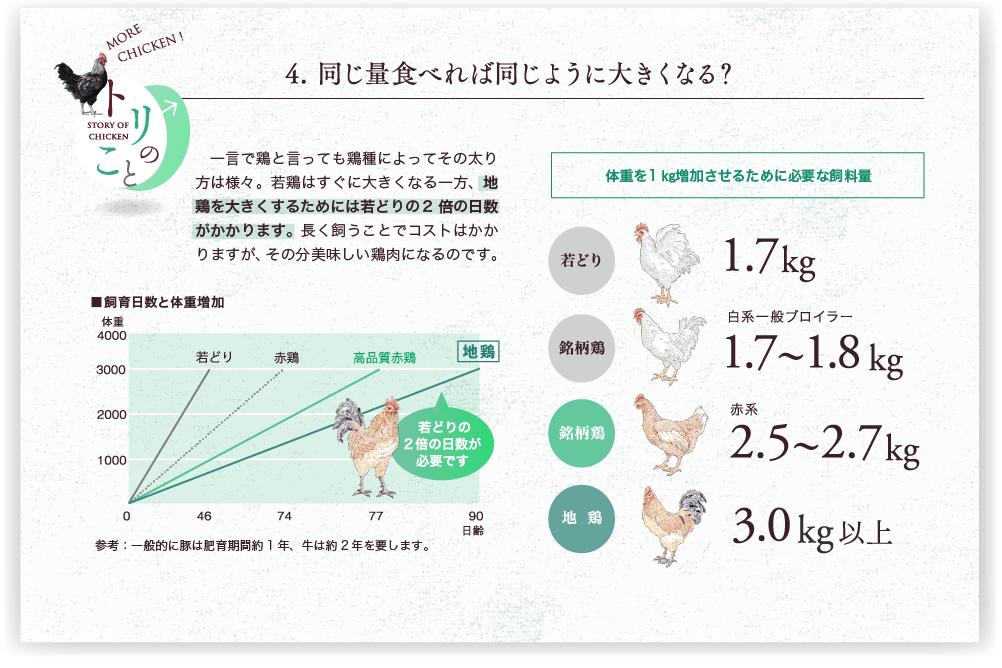 説明図：同じ量食べれば同じように大きくなる？