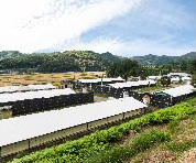 写真：養鶏場を外から見たところ