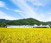 写真：山を背景に立っている八木分場