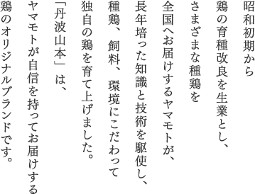 昭和初期から鶏の育種改良を生業とし、さまざまな種鶏を全国へお届けするヤマモトが、長年培った知識と技術を駆使し、種鶏、飼料、環境にこだわって独自の鶏を育て上げました。「丹波山本」は、ヤマモトが自信を持ってお届けする鶏のオリジナルブランドです。