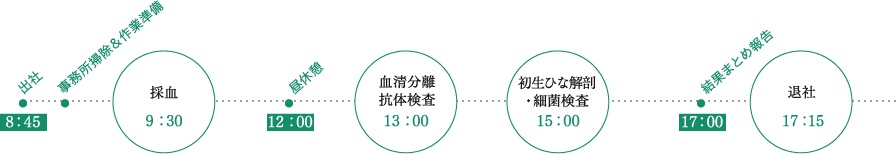 8:45 出社、事務所掃除・作業準備、9:30採血、12:00 昼休憩、13:00 血液分離抗体検査、15:00 初生ひな解剖・細菌検査、17:00 結果まとめ報告、17:15 退社